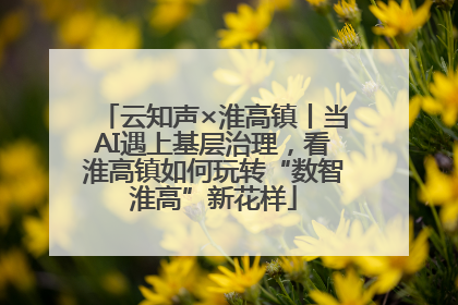 云知声×淮高镇丨当AI遇上基层治理，看淮高镇如何玩转“数智淮高”新花样