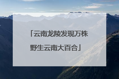 云南龙陵发现万株野生云南大百合