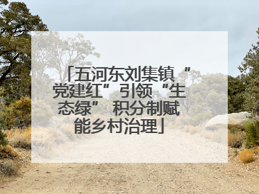 五河东刘集镇“党建红”引领“生态绿” 积分制赋能乡村治理