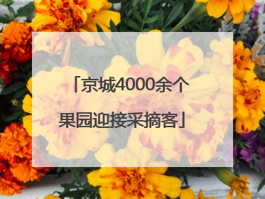 京城4000余个果园迎接采摘客