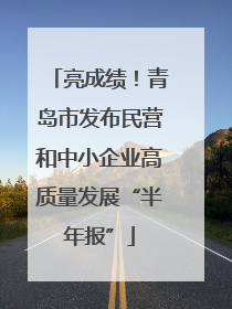 亮成绩！青岛市发布民营和中小企业高质量发展“半年报”