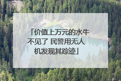 价值上万元的水牛不见了 民警用无人机发现其踪迹