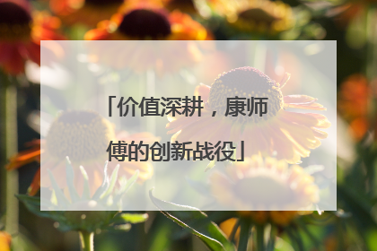 价值深耕，康师傅的创新战役