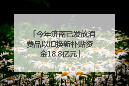 今年济南已发放消费品以旧换新补贴资金18.8亿元