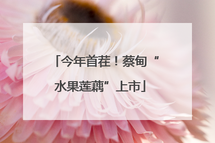 今年首茬！蔡甸“水果莲藕”上市