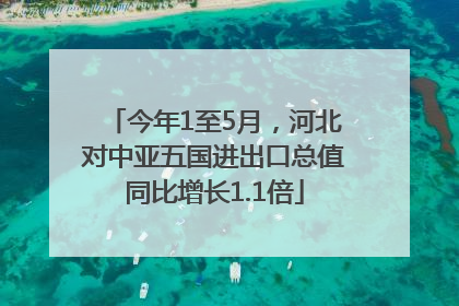 今年1至5月，河北对中亚五国进出口总值同比增长1.1倍
