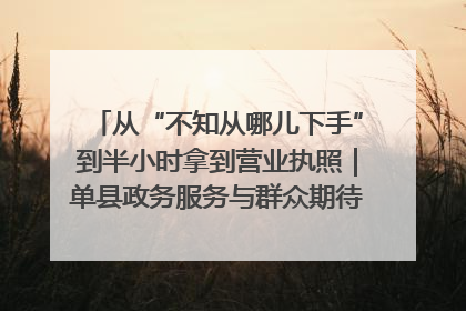 从“不知从哪儿下手”到半小时拿到营业执照｜单县政务服务与群众期待的“双向奔赴”