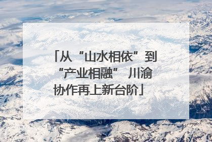 从“山水相依”到“产业相融” 川渝协作再上新台阶