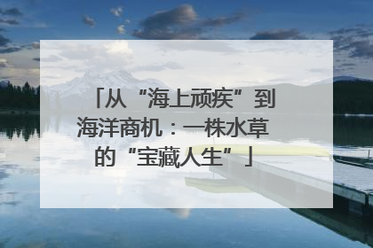 从“海上顽疾”到海洋商机：一株水草的“宝藏人生”
