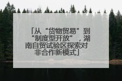 从“货物贸易”到“制度型开放”，湖南自贸试验区探索对非合作新模式