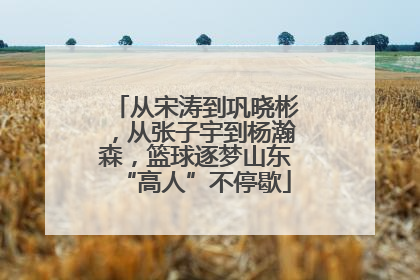 从宋涛到巩晓彬，从张子宇到杨瀚森，篮球逐梦山东“高人”不停歇
