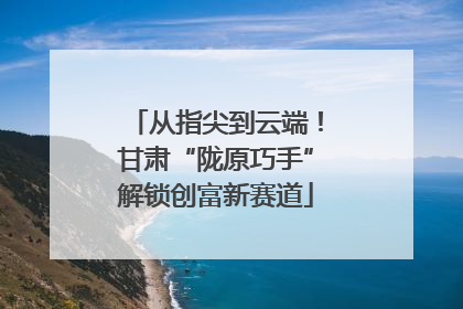 从指尖到云端！甘肃“陇原巧手”解锁创富新赛道