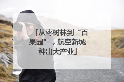 从枣树林到“百果园”，航空新城种出大产业