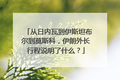 从日内瓦到伊斯坦布尔到莫斯科，伊朗外长行程说明了什么？