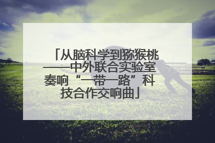 从脑科学到猕猴桃——中外联合实验室奏响“一带一路”科技合作交响曲