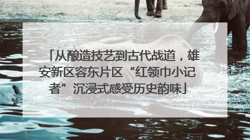 从酿造技艺到古代战道，雄安新区容东片区“红领巾小记者”沉浸式感受历史韵味
