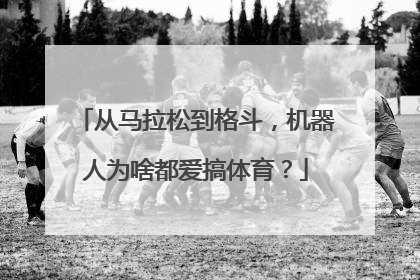 从马拉松到格斗，机器人为啥都爱搞体育？