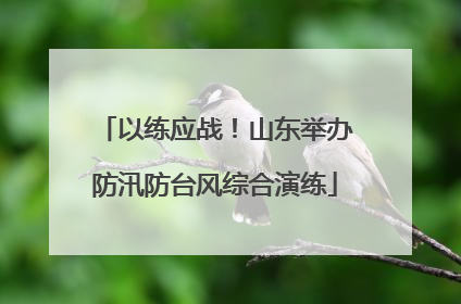 以练应战！山东举办防汛防台风综合演练