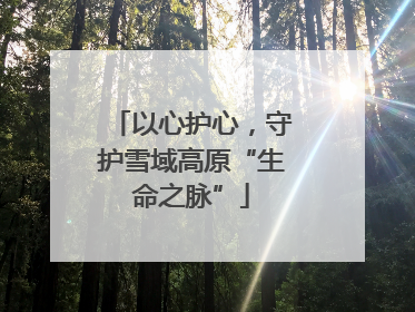 以心护心，守护雪域高原“生命之脉”