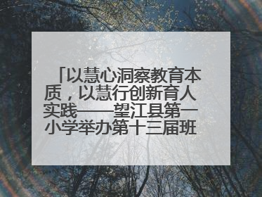 以慧心洞察教育本质，以慧行创新育人实践——望江县第一小学举办第十三届班主任论坛
