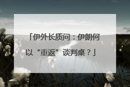 伊外长质问：伊朗何以“重返”谈判桌？