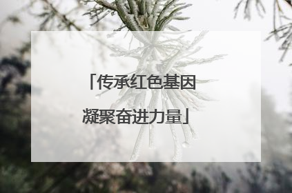 传承红色基因 凝聚奋进力量