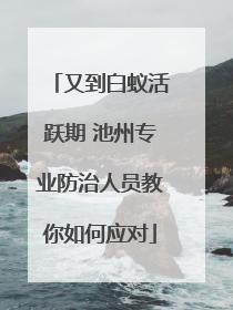 又到白蚁活跃期 池州专业防治人员教你如何应对