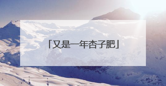 又是一年杏子肥