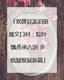 双牌县泷泊镇观文口村：粽叶飘香承古韵 乡情凝聚展新篇