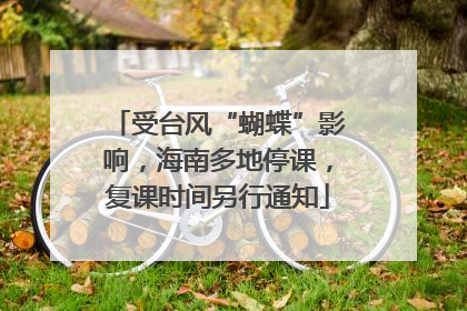 受台风“蝴蝶”影响，海南多地停课，复课时间另行通知