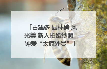 古建多 园林俏 风光美 新人拍婚纱照 钟爱“太原外景”