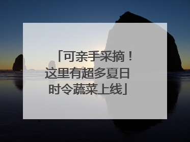 可亲手采摘！这里有超多夏日时令蔬菜上线