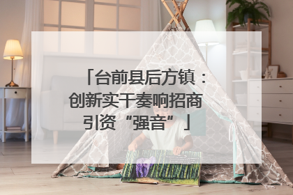 台前县后方镇：创新实干奏响招商引资“强音”