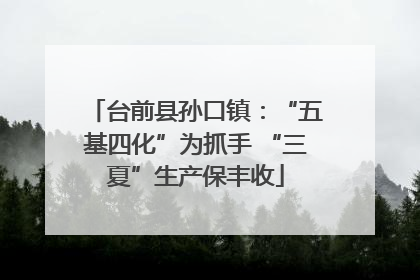 台前县孙口镇：“五基四化”为抓手 “三夏”生产保丰收