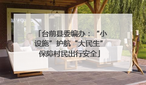 台前县委编办：“小设施”护航“大民生” 保障村民出行安全