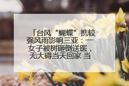 台风“蝴蝶”携较强风雨影响三亚：一女子被树砸倒送医，无大碍当天回家 当地已紧急清障