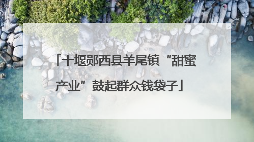 十堰郧西县羊尾镇“甜蜜产业”鼓起群众钱袋子