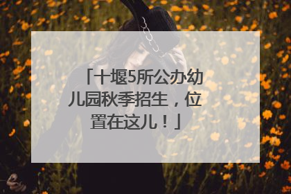 十堰5所公办幼儿园秋季招生，位置在这儿！