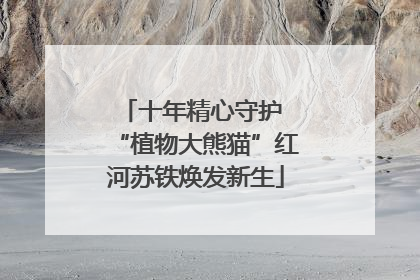 十年精心守护 “植物大熊猫”红河苏铁焕发新生