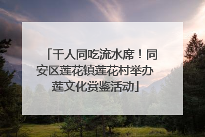 千人同吃流水席！同安区莲花镇莲花村举办莲文化赏鉴活动