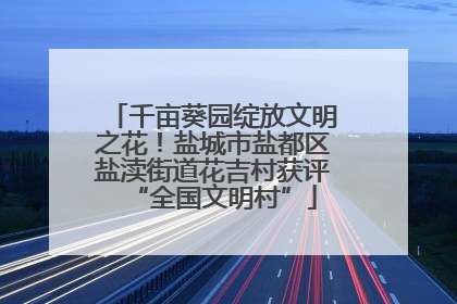 千亩葵园绽放文明之花！盐城市盐都区盐渎街道花吉村获评“全国文明村”