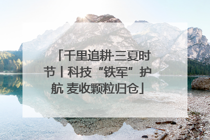 千里追耕·三夏时节丨科技“铁军”护航 麦收颗粒归仓