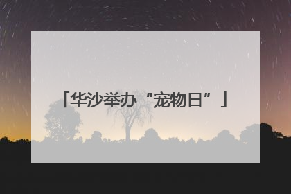 华沙举办“宠物日”