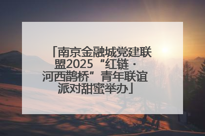 南京金融城党建联盟2025“红链・河西鹊桥”青年联谊派对甜蜜举办