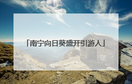 南宁向日葵盛开引游人