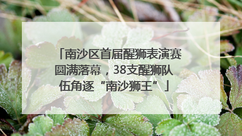 南沙区首届醒狮表演赛圆满落幕，38支醒狮队伍角逐“南沙狮王”