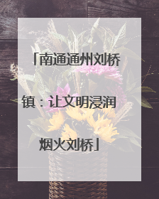 南通通州刘桥镇：让文明浸润烟火刘桥