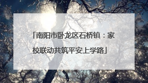 南阳市卧龙区石桥镇：家校联动共筑平安上学路