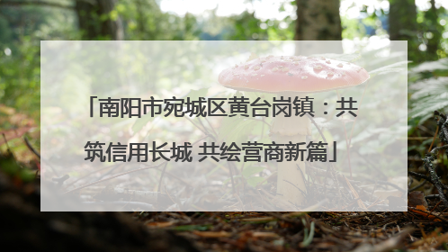 南阳市宛城区黄台岗镇：共筑信用长城 共绘营商新篇
