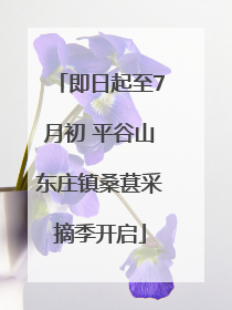 即日起至7月初 平谷山东庄镇桑葚采摘季开启